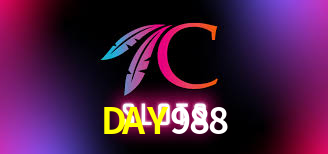DAY988